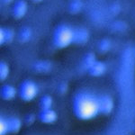 Cattedra Lazzati: seconda edizione